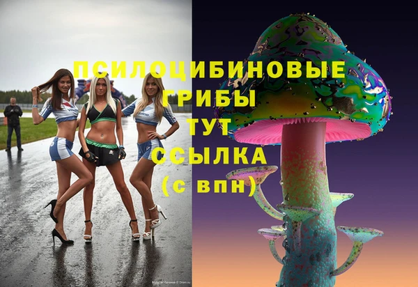 соль ск Алзамай