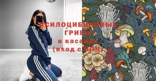 крисы Алексеевка