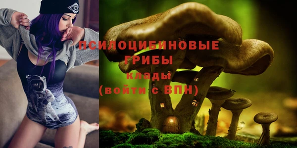 первитин Алексин