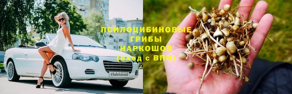 соль ск Алзамай
