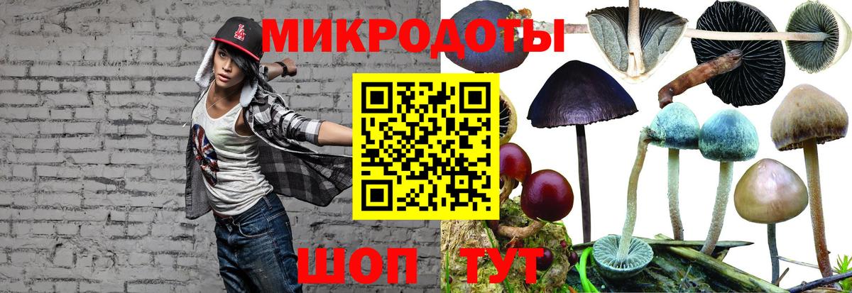 Галлюциногенные грибы Magic Shrooms Челябинск